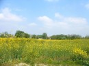 Photo 054_resize * 500 x 375 * (52KB)